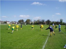 Scoil Eoin Champions!!!